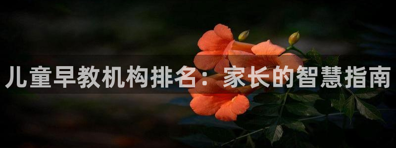 天狮娱乐湫33 300