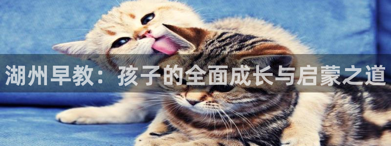 天狮娱乐 官方注册官网：湖州早教：孩子的全面成长与启蒙之道