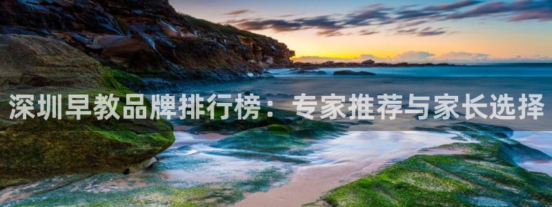 天狮娱乐　23976实c力：深圳早教品牌排行榜：专家推荐与家长选择