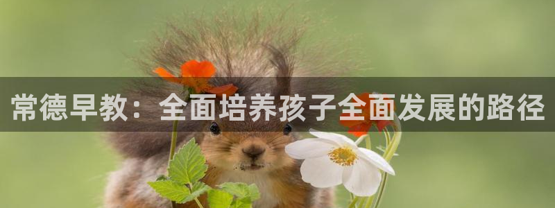天狮娱乐平台作弊：常德早教：全面培养孩子全面发展的路径