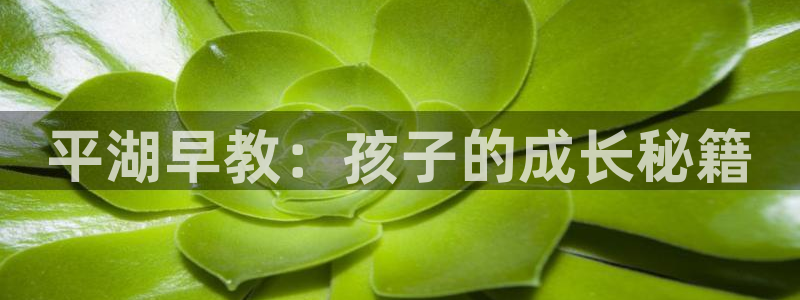天狮娱乐 a招商60447：平湖早教：孩子的成长秘籍