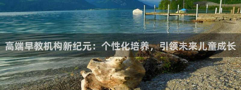天狮娱乐e 判官：高端早教机构新纪元：个性化培养，引领未来儿童成长