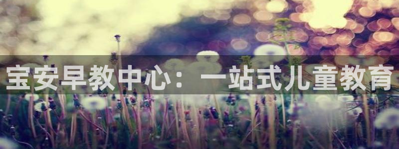 彩票天狮娱乐：宝安早教中心：一站式儿童教育