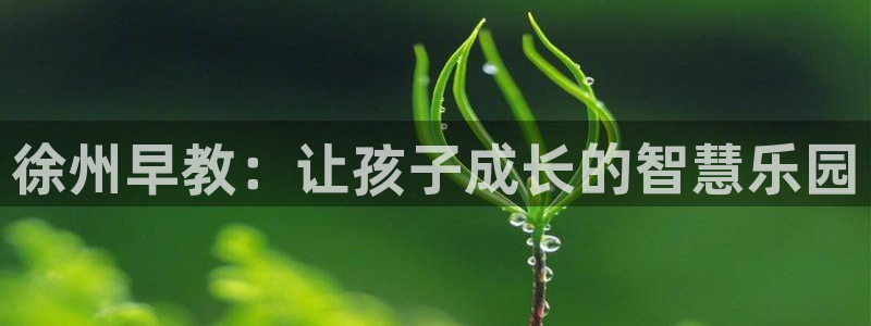 天狮娱乐240040q：徐州早教：让孩子成长的智慧乐园