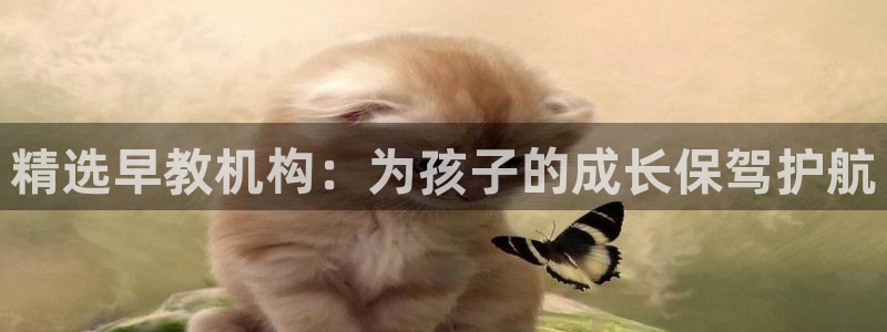 天狮娱乐注册平台官网：精选早教机构：为孩子的成长保驾护航