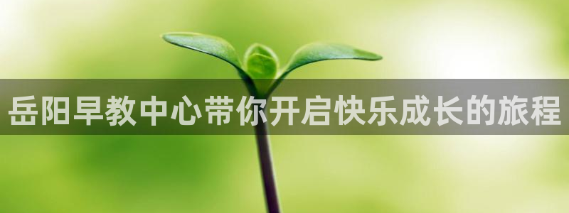 天狮娱乐所：岳阳早教中心带你开启快乐成长的旅程