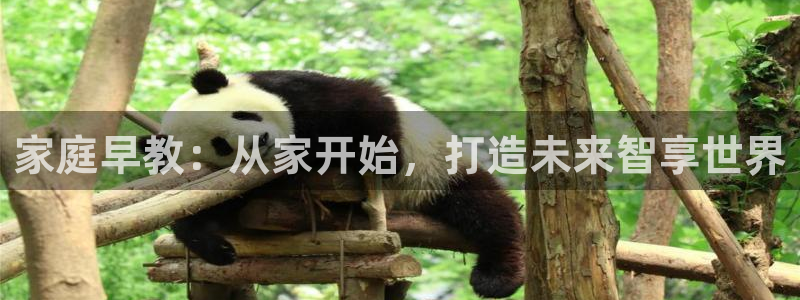 天狮娱乐提现不到账：家庭早教：从家开始，打造未来智享世界