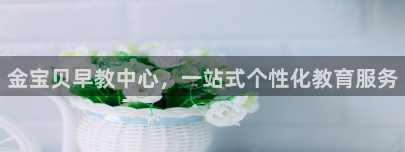 天狮娱乐240040q：金宝贝早教中心，一站式个性化教育服务