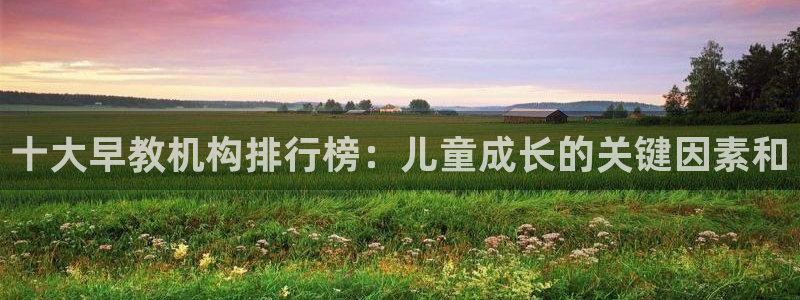 天狮娱乐平台找谁：十大早教机构排行榜：儿童成长的关键因素和
