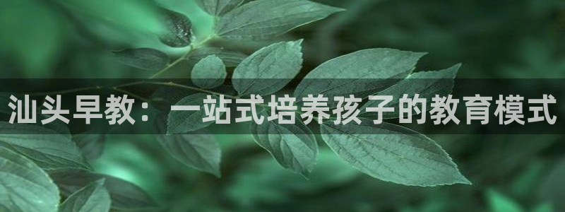 天狮娱乐是什么东西：汕头早教：一站式培养孩子的教育模式