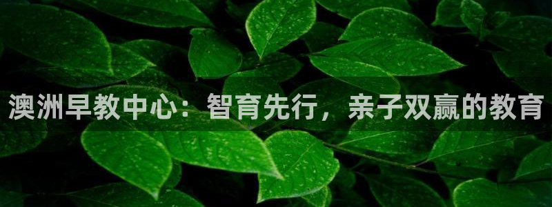 如何成为天狮娱乐的会员：澳洲早教中心：智育先行，亲子双赢的教育