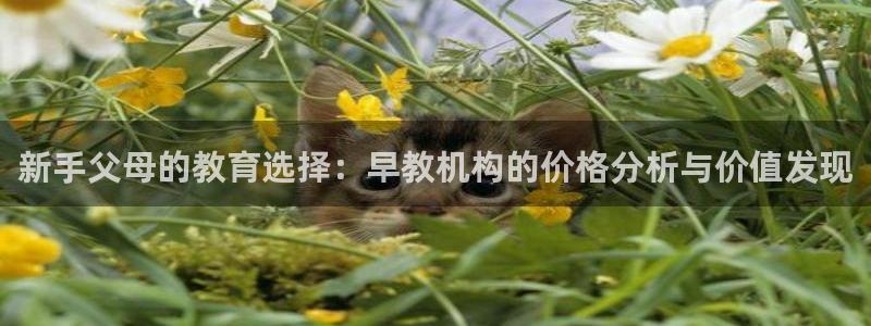 天狮娱乐方：新手父母的教育选择：早教机构的价格分析与价值发现