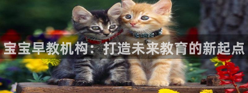 天狮娱乐f 判官：宝宝早教机构：打造未来教育的新起点