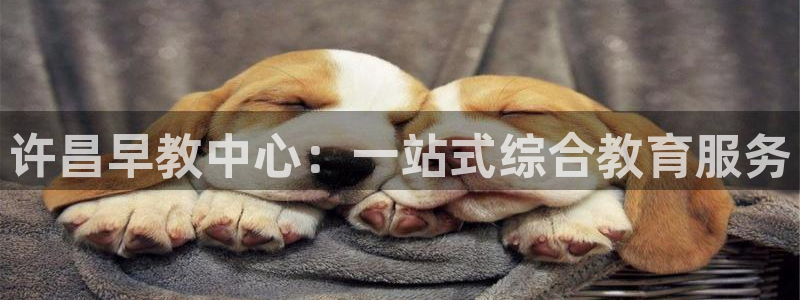 天狮娱乐代理是谁：许昌早教中心：一站式综合教育服务