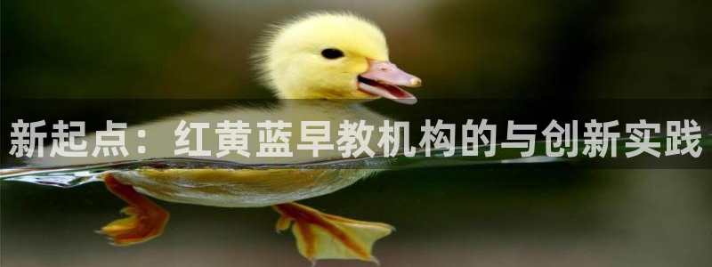 天狮娱乐 a主管67646：新起点：红黄蓝早教机构的与创新实践