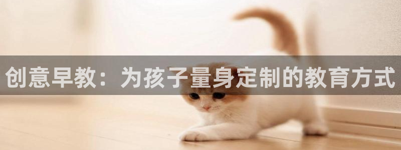 天狮娱乐官网：创意早教：为孩子量身定制的教育方式