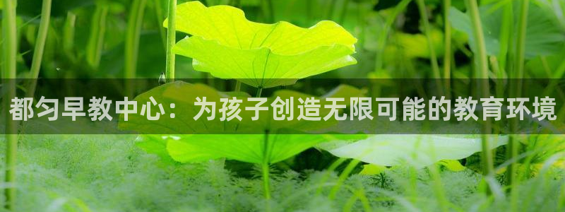 天狮娱乐首选：都匀早教中心：为孩子创造无限可能的教育环境