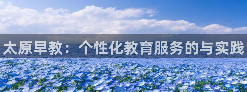 天狮娱乐彩票真假：太原早教：个性化教育服务的与实践