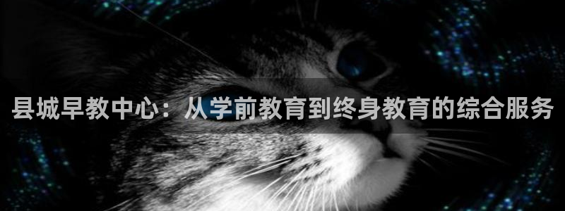 南京天狮娱乐会所：县城早教中心：从学前教育到终身教育的综合服务