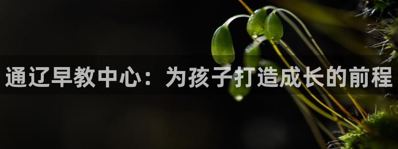 天狮娱乐39096股东：通辽早教中心：为孩子打造成长的前程