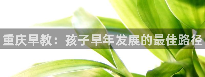 天狮娱乐授权：重庆早教：孩子早年发展的最佳路径