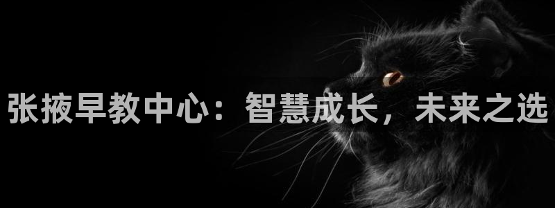 天狮娱乐代理怎么做：张掖早教中心：智慧成长，未来之选