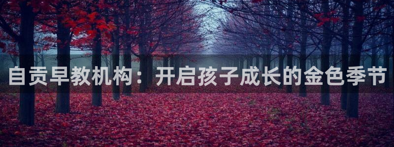 天狮娱乐手机挂机：自贡早教机构：开启孩子成长的金色季节