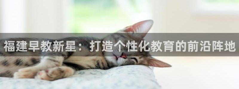 天狮娱乐 a主57661管：福建早教新星：打造个性化教育的前沿阵地