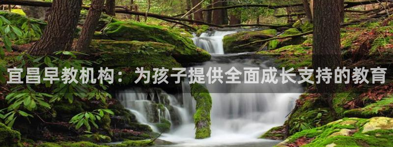 天狮娱乐-扣 股东：宜昌早教机构：为孩子提供全面成长支持的教育
