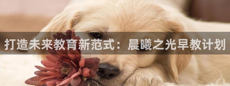 天狮娱乐电脑版：打造未来教育新范式：晨曦之光早教计划