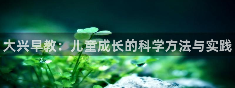 天狮娱乐71009：大兴早教：儿童成长的科学方法与实践