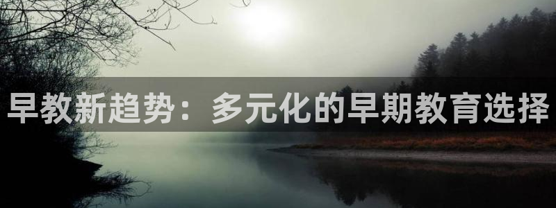天狮娱乐登陆：早教新趋势：多元化的早期教育选择