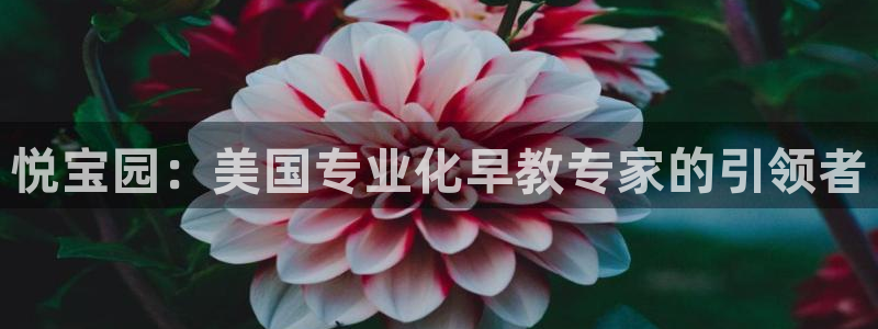 天狮娱乐登入：悦宝园：美国专业化早教专家的引领者