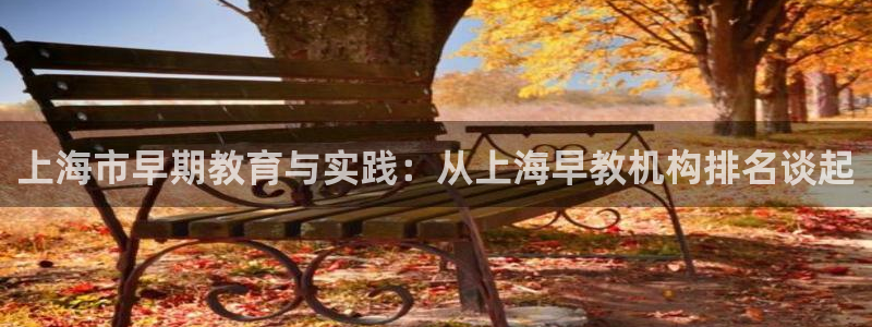 天狮娱乐行：上海市早期教育与实践：从上海早教机构排名谈起