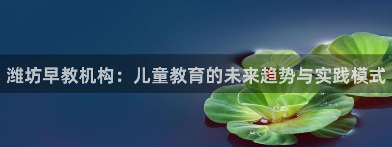 天狮娱乐提现不到账：潍坊早教机构：儿童教育的未来趋势与实践模式
