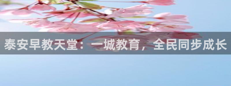 天狮娱乐是私人平台吗：泰安早教天堂：一城教育，全民同步成长