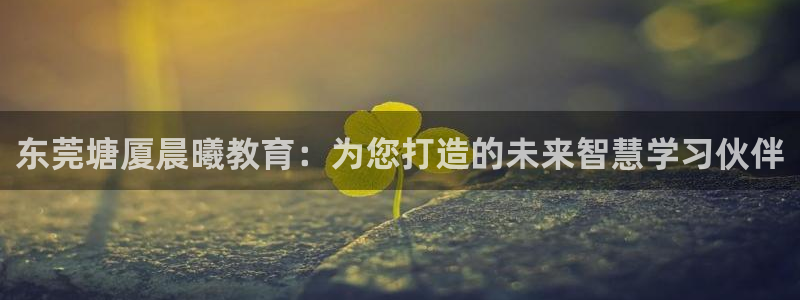 天狮娱乐是赌博吗：东莞塘厦晨曦教育：为您打造的未来智慧学习伙伴