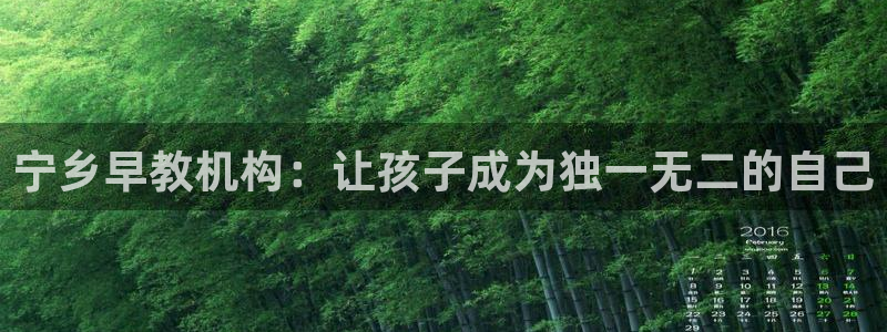 天狮娱乐叶哥：宁乡早教机构：让孩子成为独一无二的自己
