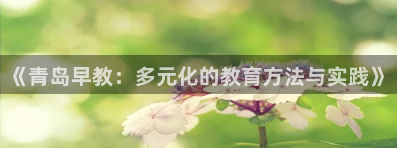 天狮娱乐主管待遇：《青岛早教：多元化的教育方法与实践》
