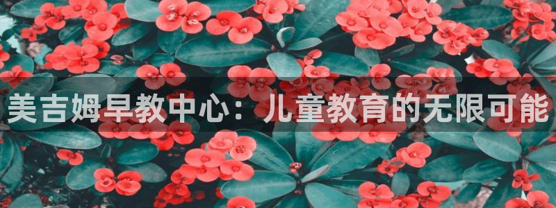 天狮娱乐股东招商：美吉姆早教中心：儿童教育的无限可能