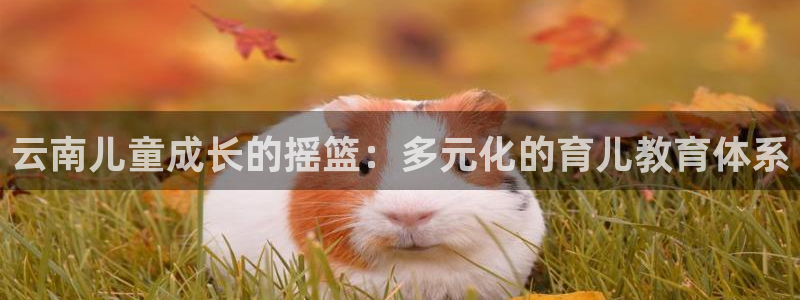 天狮娱乐真的吗：云南儿童成长的摇篮：多元化的育儿教育体系