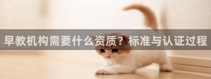天狮娱乐彩票靠谱吗：早教机构需要什么资质？标准与认证过程