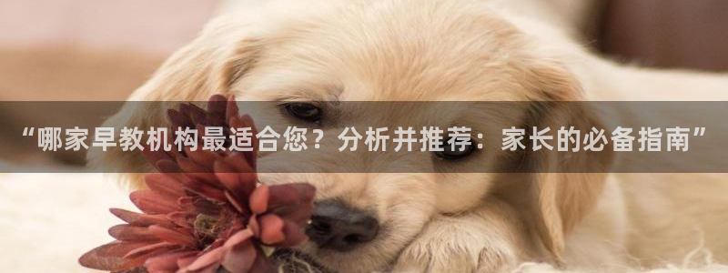 天狮娱乐39869股东：“哪家早教机构最适合您？分析并推荐：家长的必备指南”