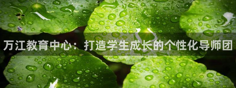 天狮娱乐家：万江教育中心：打造学生成长的个性化导师团