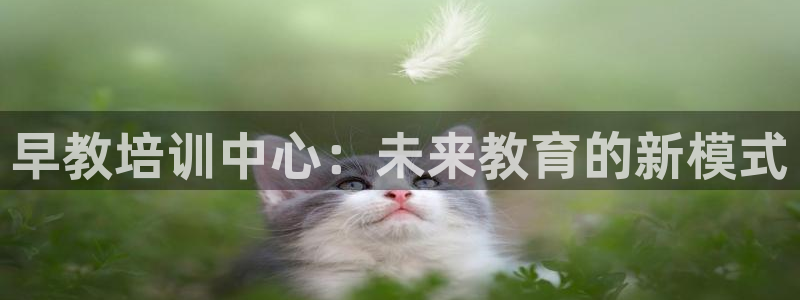 怎么注册天狮娱乐的账号：早教培训中心：未来教育的新模式