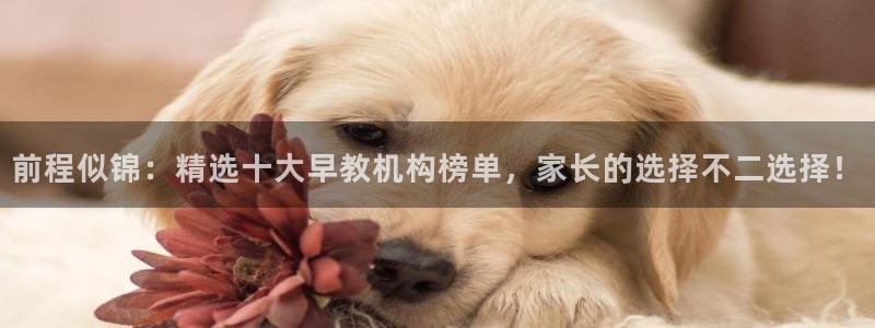 天狮娱乐q 去108-306：前程似锦：精选十大早教机构榜单，家长的选择不二选择