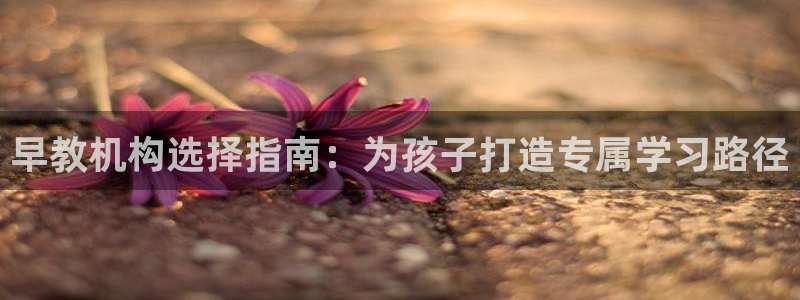 天狮娱乐代理首页：早教机构选择指南：为孩子打造专属学习路径