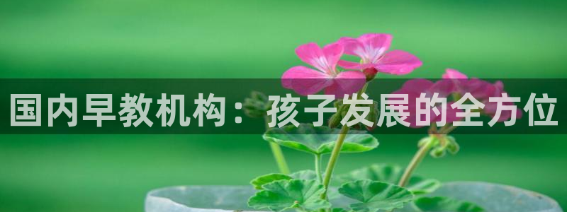 天狮娱乐指尖得：国内早教机构：孩子发展的全方位