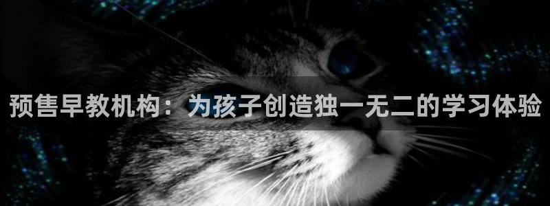 天狮娱乐-扣 股东：预售早教机构：为孩子创造独一无二的学习体验