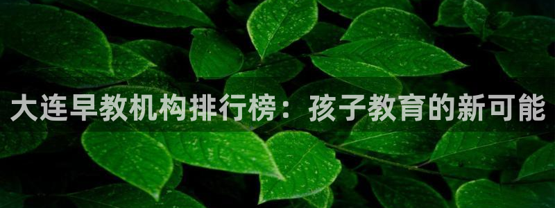 天狮娱乐i 判官：大连早教机构排行榜：孩子教育的新可能